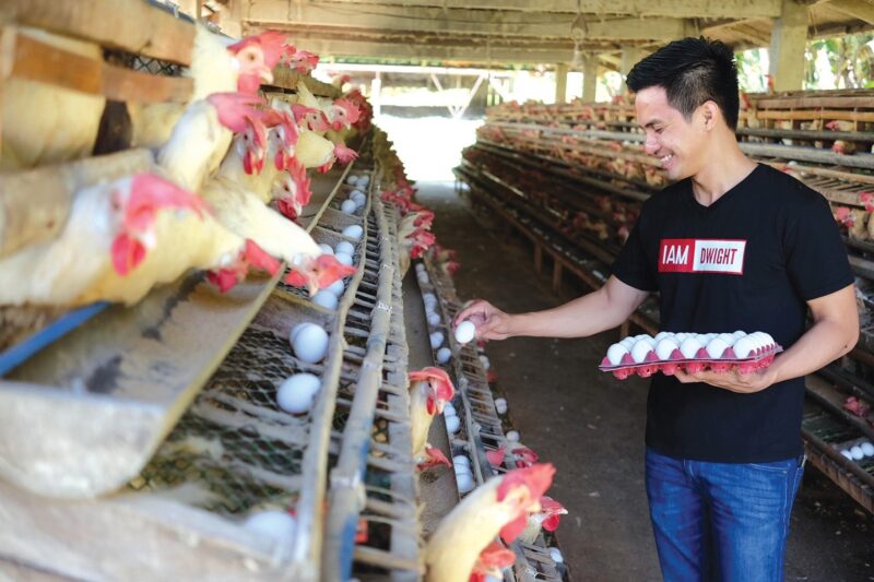 Magkano ang tuition fee ng TESDA Animal Production (Poultry-Chicken) NC II?