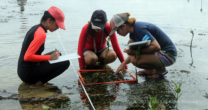Magkano ang tuition fee ng Fisheries student?